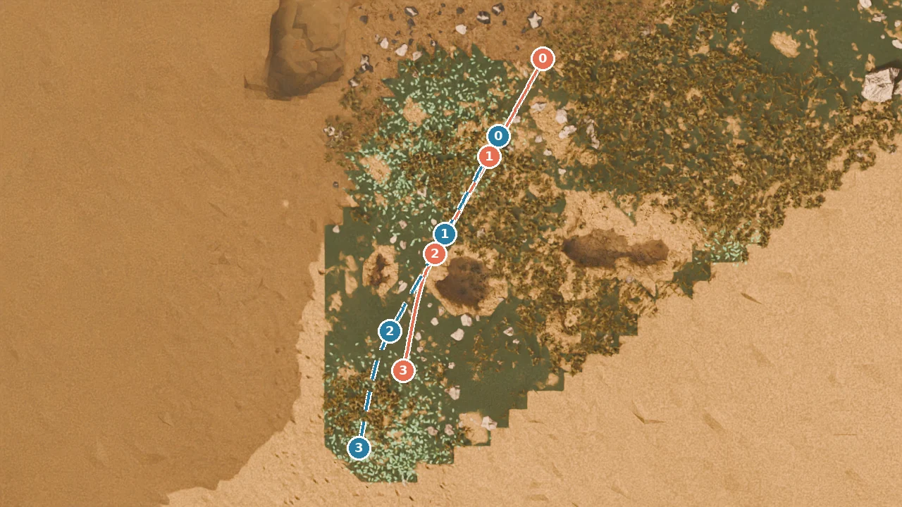 Overhead rendering of the outdoor terrain with the actor-root trajectory in orange and the camera trajectory dashed in blue crossing a vegetated strip